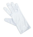 White cotton gloves