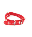 Watch NATO strap Swiss flag