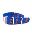 Watch NATO strap skull