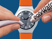 PolyWatch