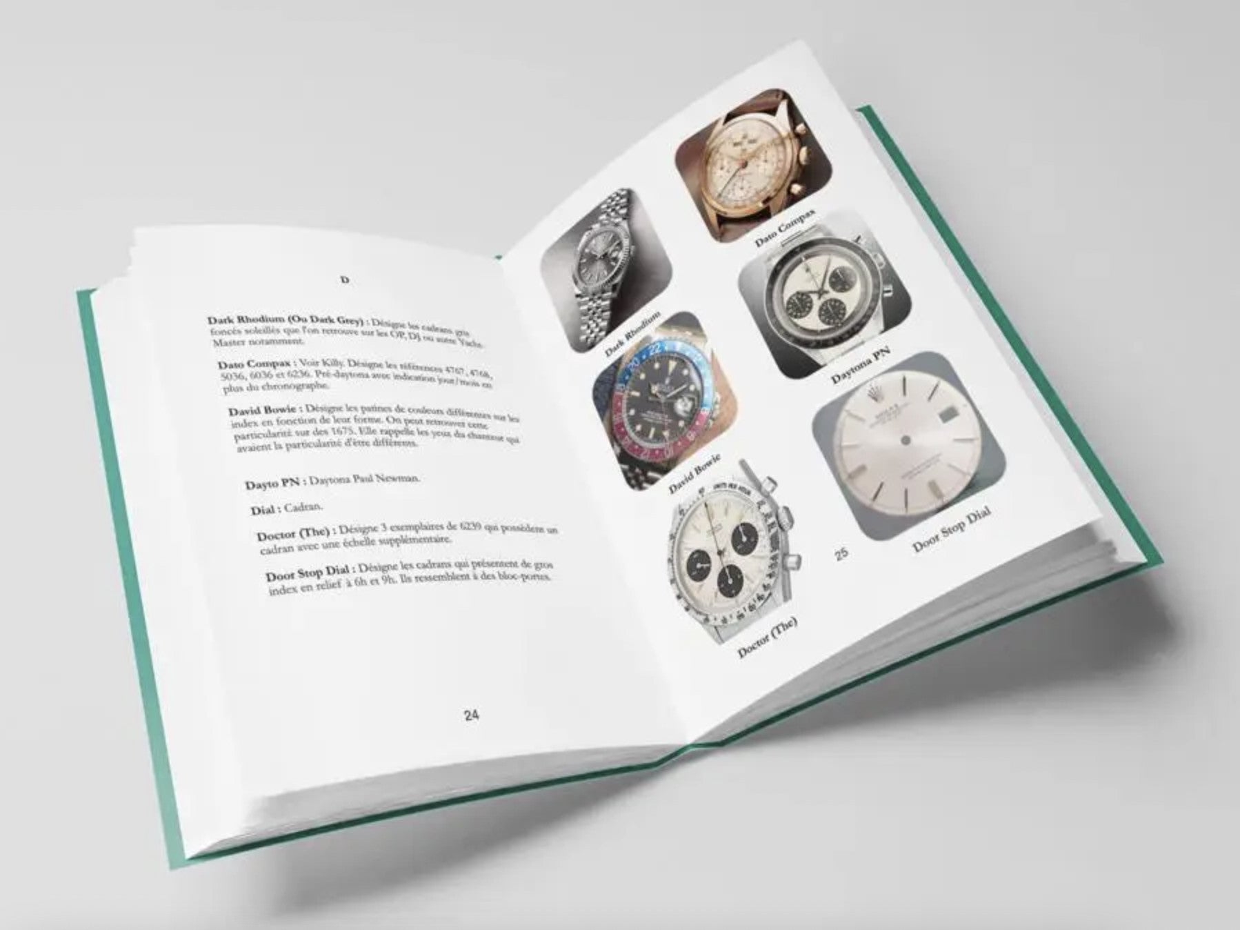 Lexique Rolex – Gaspard SANDERS